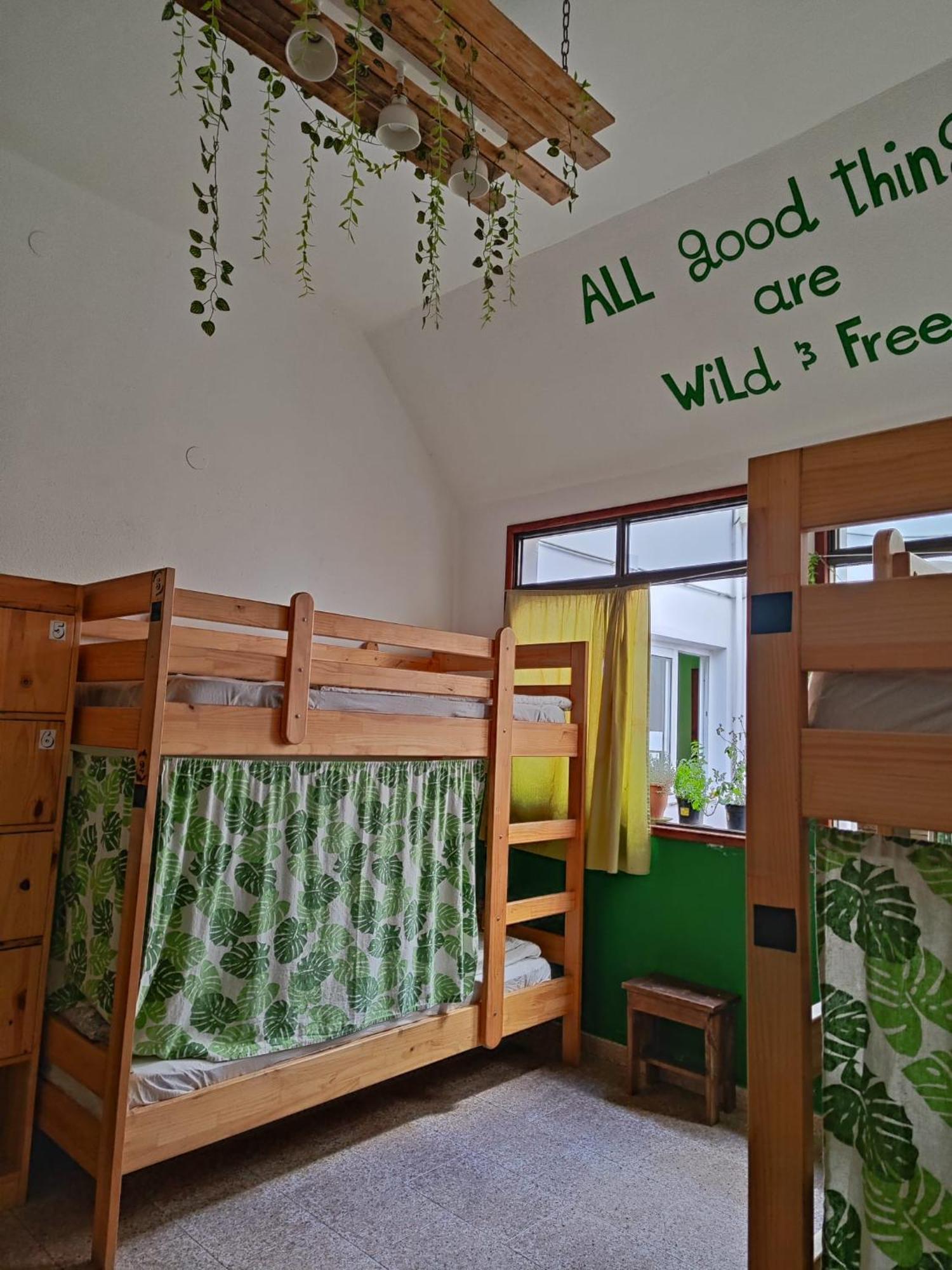Hostel Vagamundo Los Llanos De Aridane Ngoại thất bức ảnh