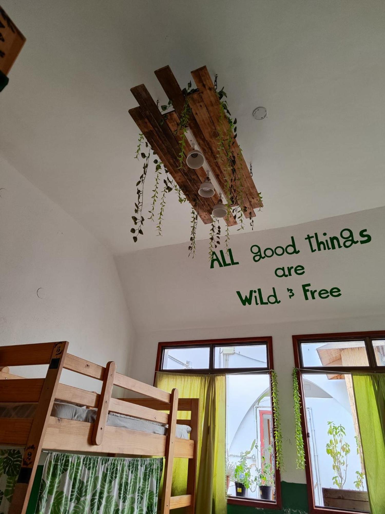 Hostel Vagamundo Los Llanos De Aridane Ngoại thất bức ảnh