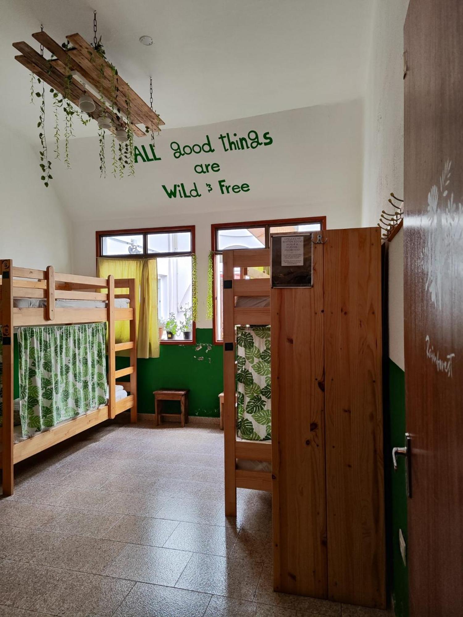 Hostel Vagamundo Los Llanos De Aridane Ngoại thất bức ảnh